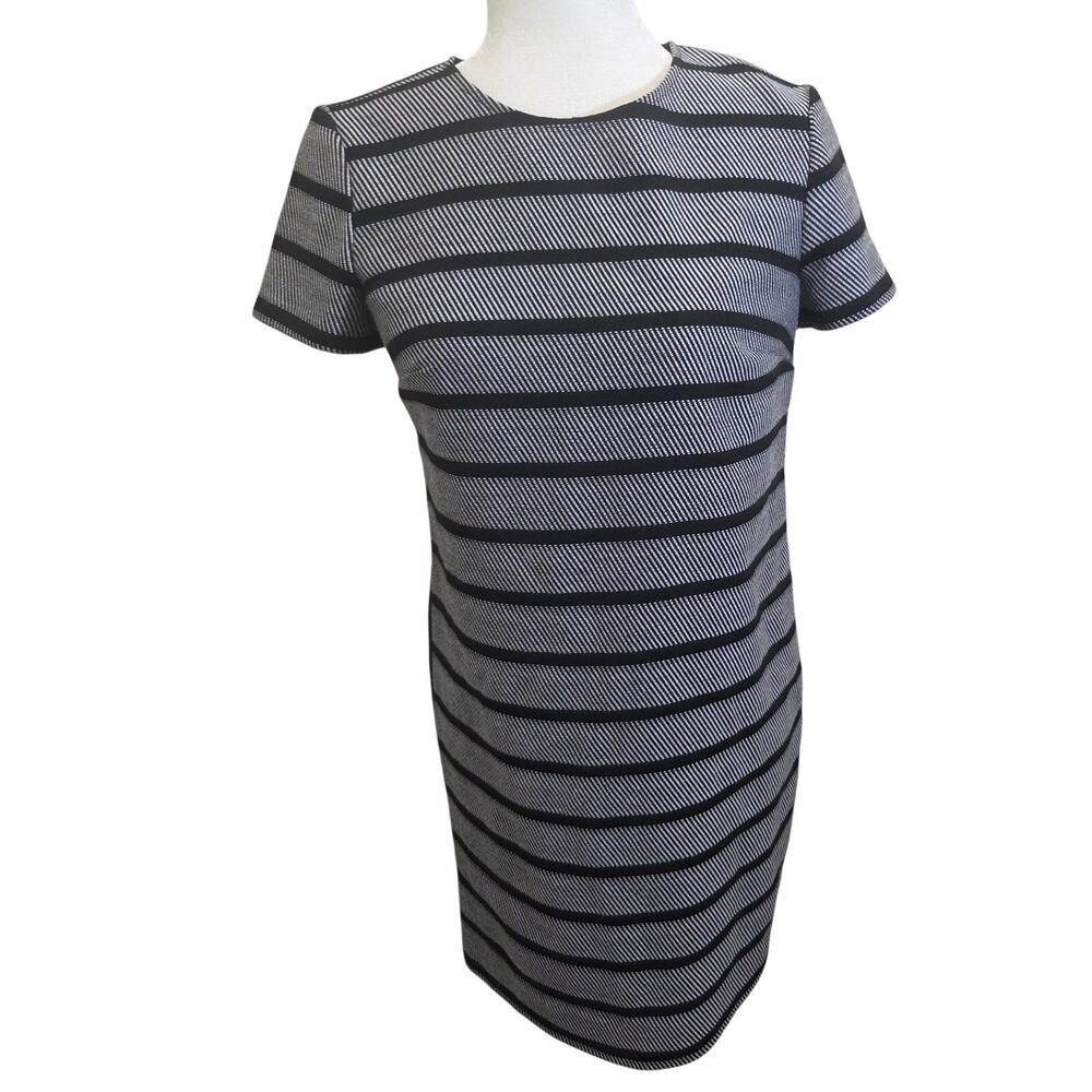 Ann Taylor Grey and Black Dress Size XS